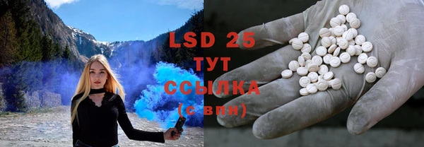 ПСИЛОЦИБИНОВЫЕ ГРИБЫ Вязники