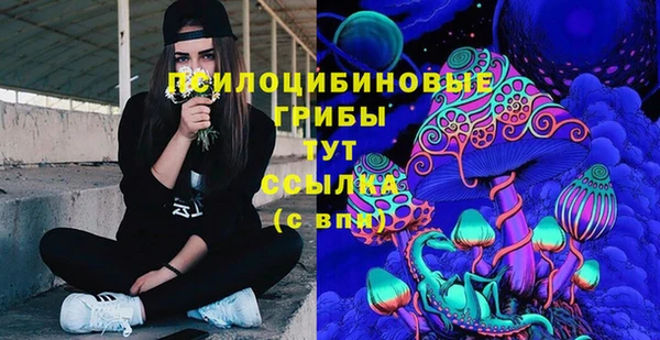 МДПВ Горнозаводск