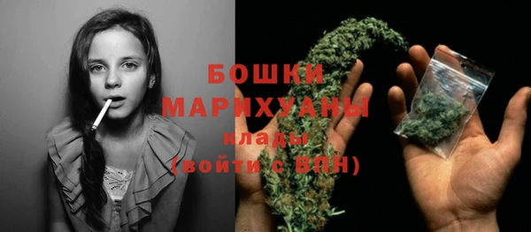 ПСИЛОЦИБИНОВЫЕ ГРИБЫ Вязники