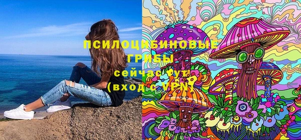 ПСИЛОЦИБИНОВЫЕ ГРИБЫ Вязники