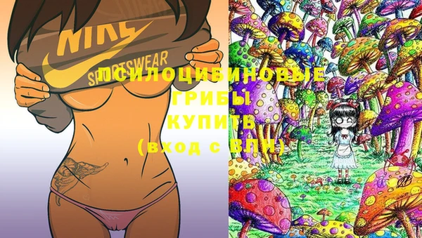 jwh Горняк
