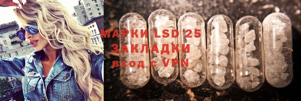 ПСИЛОЦИБИНОВЫЕ ГРИБЫ Вязники