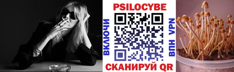 kraken зеркало  Братск  Галлюциногенные грибы Psilocybine cubensis 